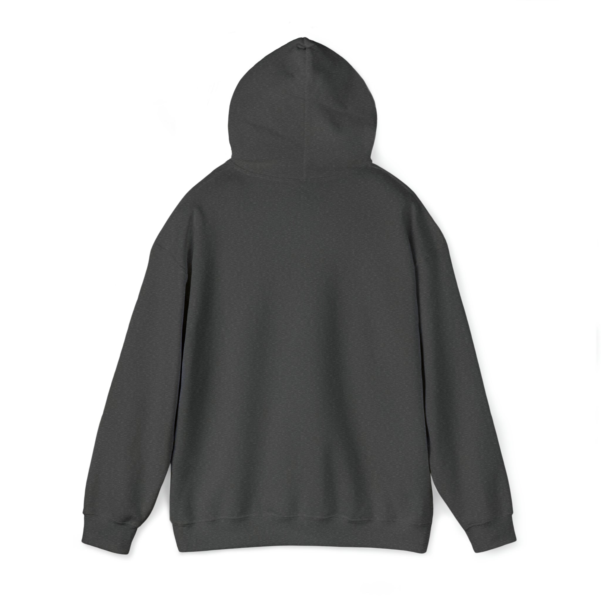 EEGO Heavy Blend™ Hooded Sweatshirt