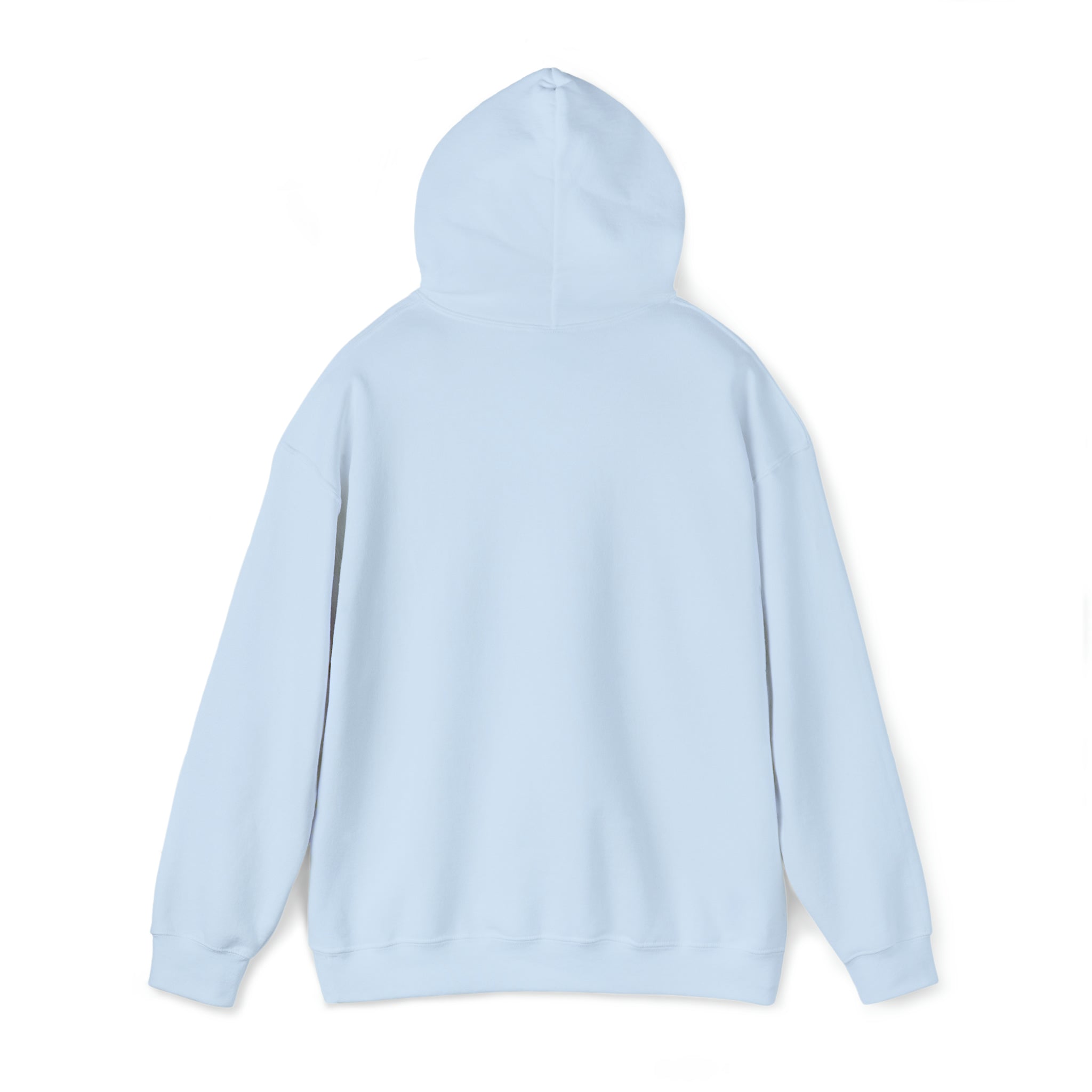EEGO Heavy Blend™ Hooded Sweatshirt