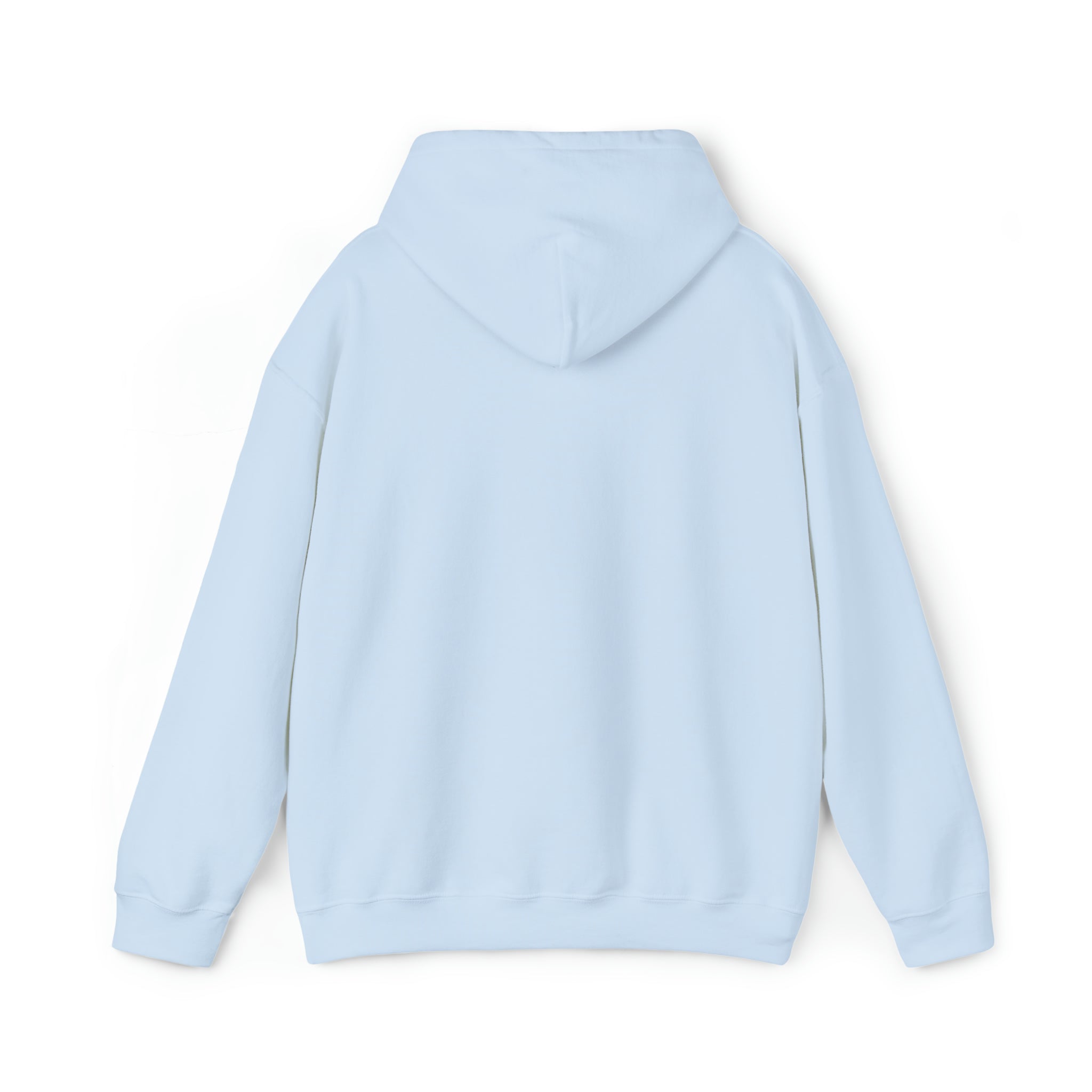 EEGO Heavy Blend™ Hooded Sweatshirt