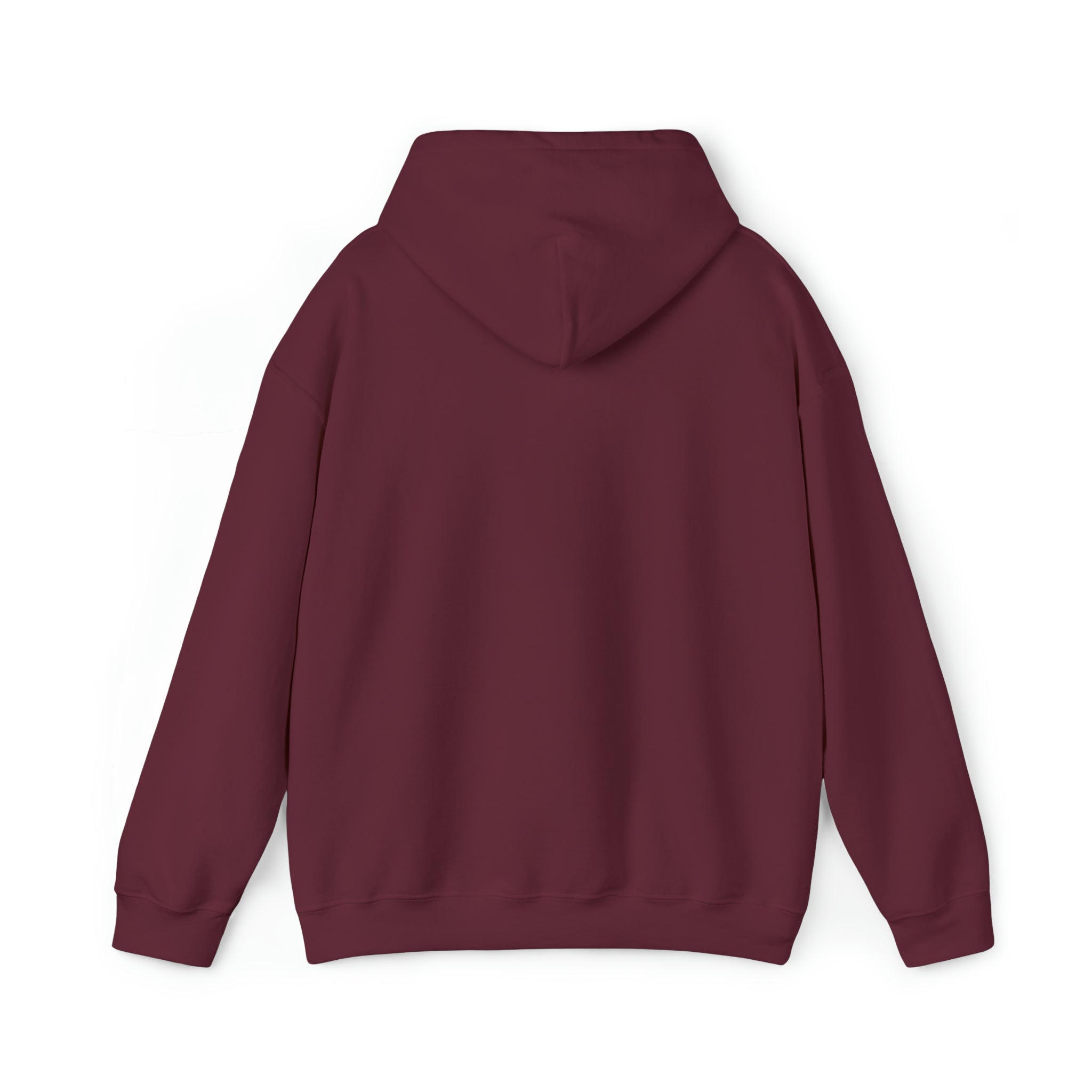 EEGO Heavy Blend™ Hooded Sweatshirt